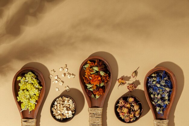 How Adaptogens Can Support Stress Management and Enhance Well-being
